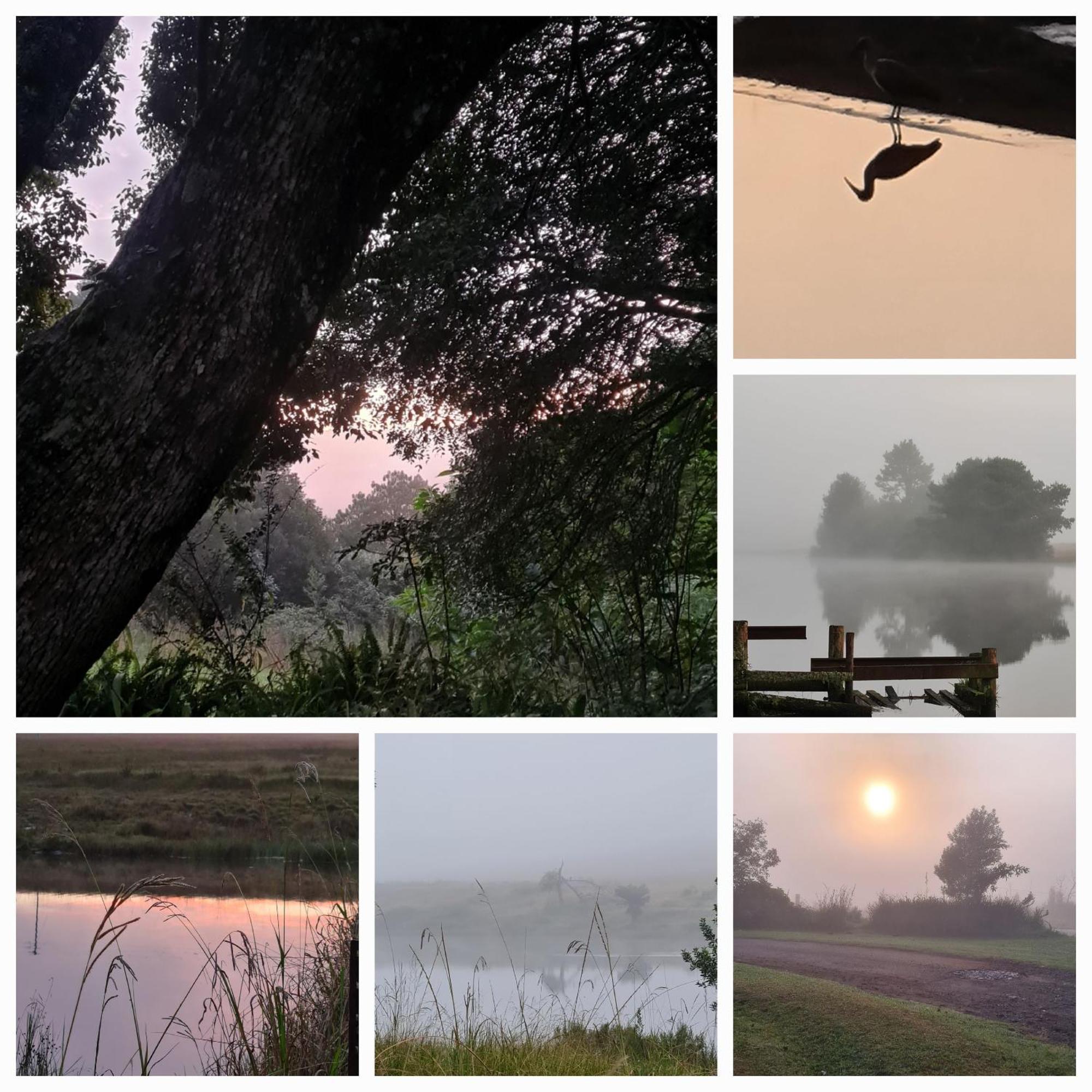Mosswood Bed & Breakfast Graskop Ngoại thất bức ảnh